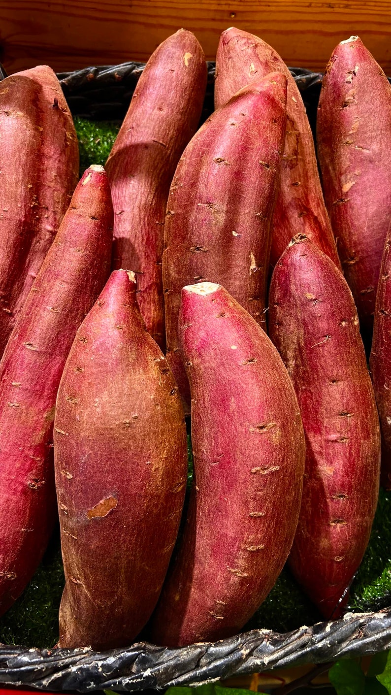 Op de afbeelding: Een close-up van een mand gevuld met verschillende grote, roodbruine zoete aardappelen. De zoete aardappelen zijn verticaal gestapeld, met de toppen van de zoete aardappelen naar boven gericht.