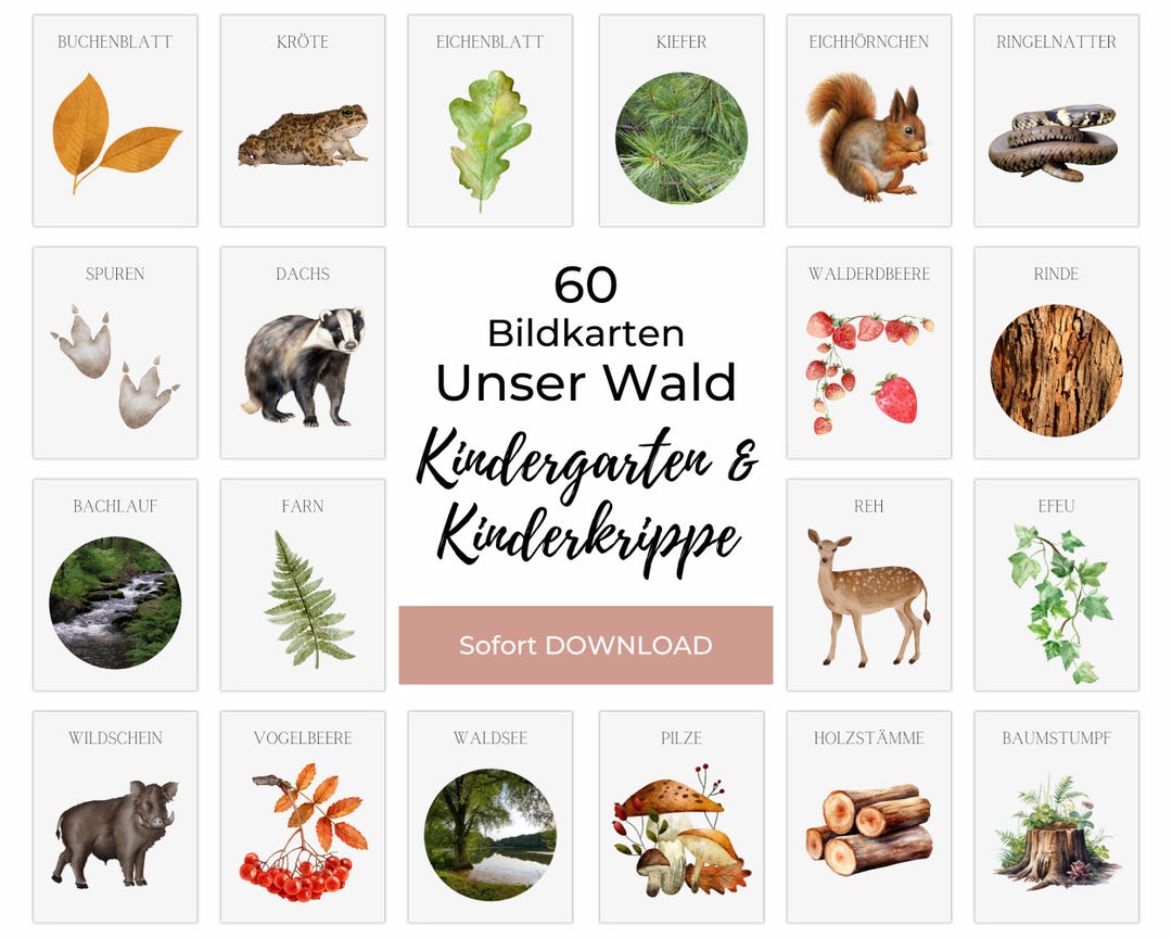 Flashcards Wald, Morgenkreis Lernkarten Waldtiere, Bäume, Pflanzen Und
