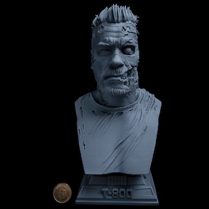 T800 Bust  L: 21-30cm