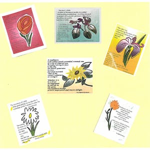 Poetry in Bloom-bundel