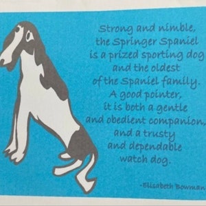 Springer Spaniel - Canine Kappertjes