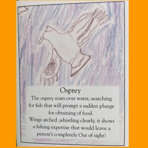 Osprey - Poesie auf dem Flügel
