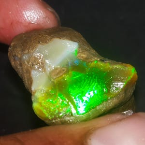 May include: A rough, uncut opal gemstone with a brown matrix. The opal displays vibrant green and yellow play-of-color, with hints of blue. The stone is held between fingers, showcasing its natural, raw beauty.