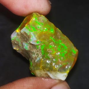 May include: A rough, uncut opal gemstone with a vibrant play of color. The stone displays a mix of earthy tones, including brown and yellow, with striking flashes of bright green. The opal is held between two fingers, showcasing its natural, raw form.