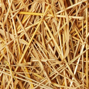 Double F Farms Premium 100% Natural Straw for Animal Bedding, Garden Mulch, Compost & Fertilizer, and Grass Cover