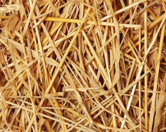 Double F Farms Premium Organic 100% Natural Straw for Animal Bedding, Garden Mulch, Compost & Fertilizer, and Grass Cover