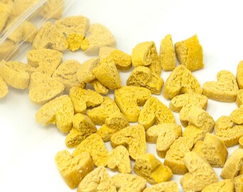 Pumpkin Bites 50g - Healthy Small Animal & Bird Treats