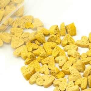 Pumpkin Bites 50g - Healthy Small Animal & Bird Treats