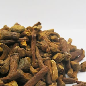 Dandelion Root (30g) | Natural Bite-Sized Treats for Bunnies, Hamsters, Guinea Pigs, Rats, Mice & Other Small Animals, Foraging Treat