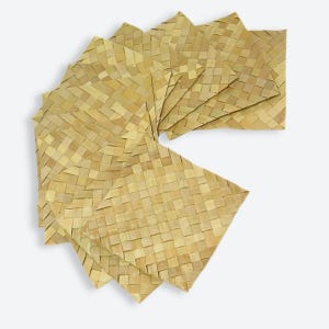Palm Mats 3pcs - All Natural Small Animal Shredder Chew Toy for Birds & Small Animals