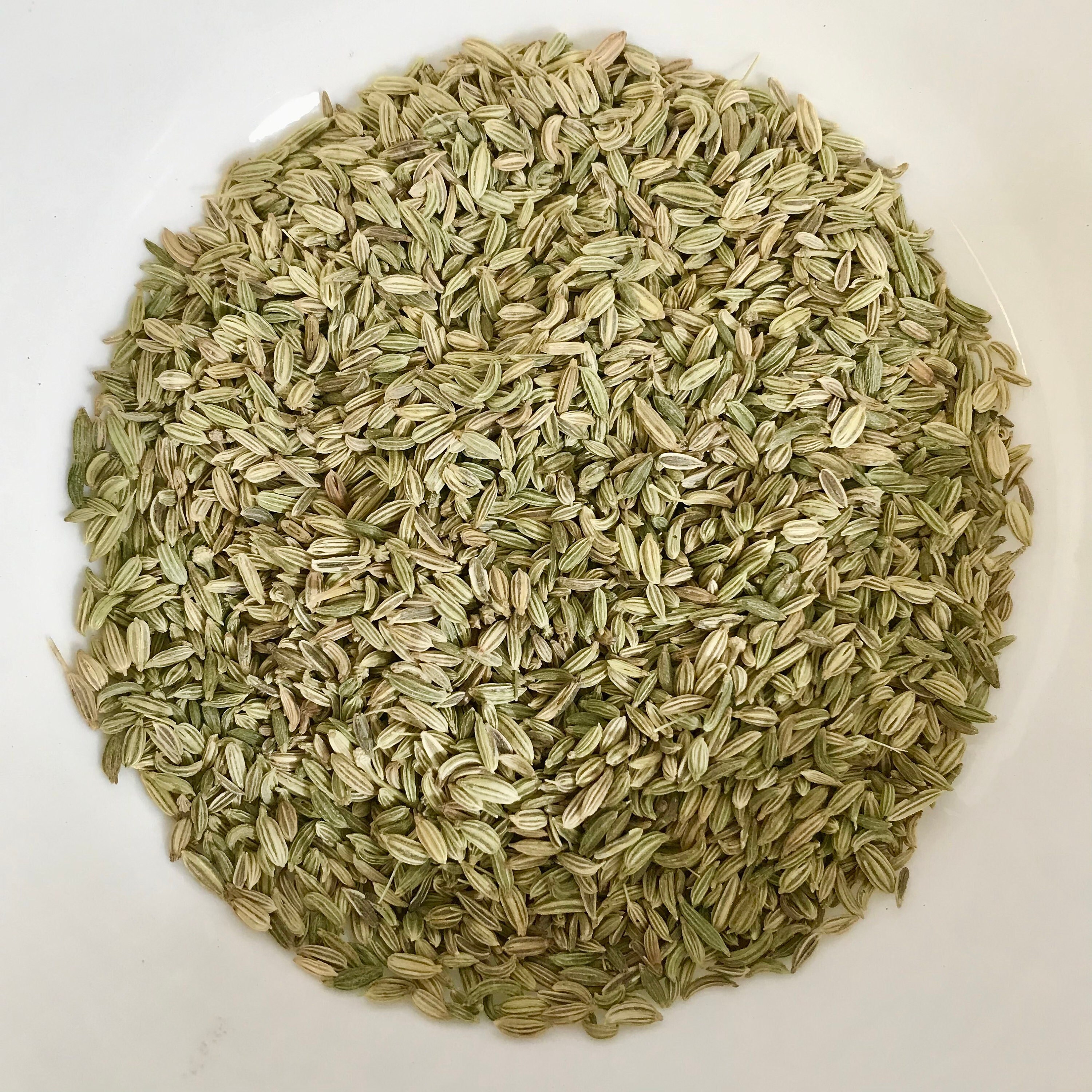 Can Budgies Eat Fennel Seeds? Discover The Power Of This Enriching