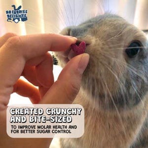 Small Animal Bark Variety Pack: Handmade Fruit & Vegetable Treats image 7