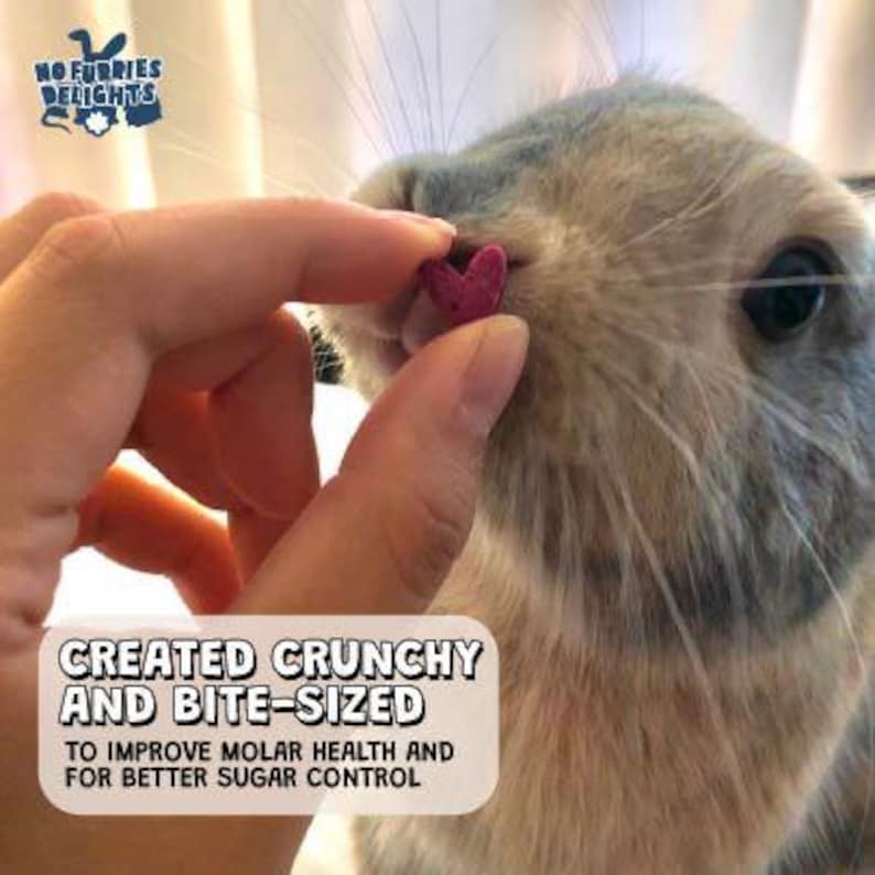 Small Animal Bark Variety Pack: Handmade Fruit & Vegetable Treats image 7