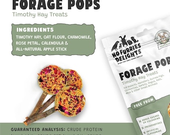 Handmade Timothy Hay Treats: Botanical Herbs, Small Animal Forage Pops 5pcs