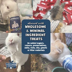 Graphic highlighting that the treats are wholesome with minimal ingredients, made with no added sugar, preservatives, coloring, salts, yeast, nuts, or filler ingredients.