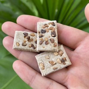 Gut Granola Bar ~ topped with Dandelion Root  (50g) | Perfect for Rabbits, Hamsters, Guinea Pig, Chinchilla, Rat, Bird, & Other Small Animal