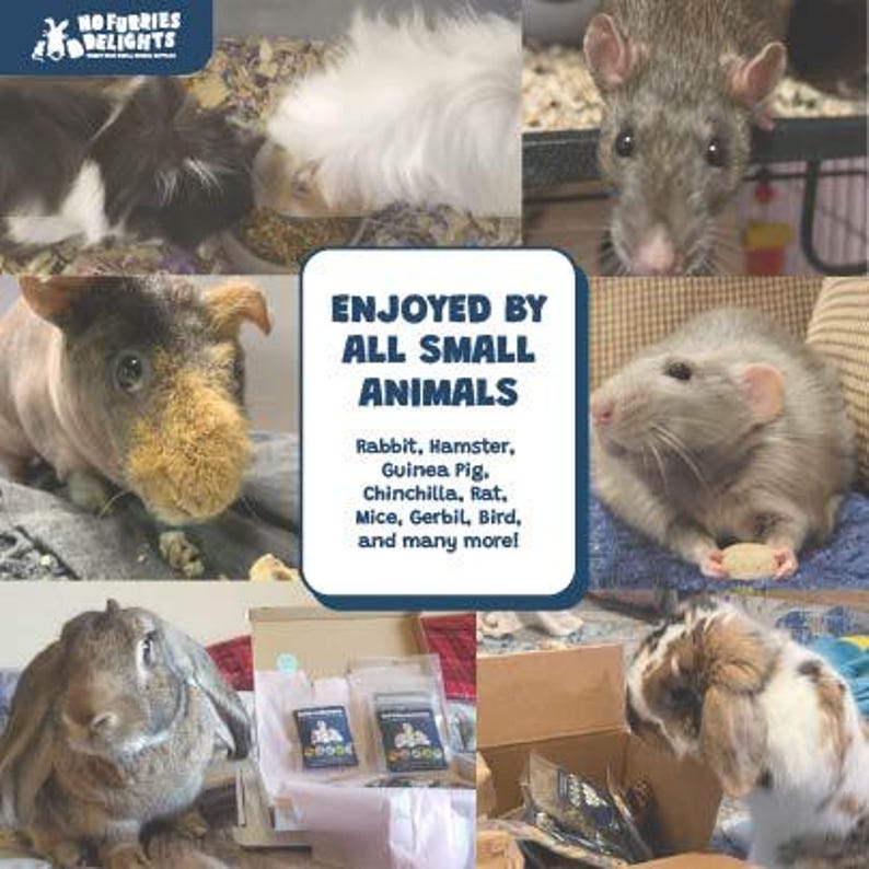 Collage of customer photos showing bunnies, hamsters, guinea pigs, and rats enjoying bite-sized treats. In the center, text reads ‘Enjoyed by all small animals,’ including rabbits, hamsters, guinea pigs, chinchillas, gerbils, and other small animals.