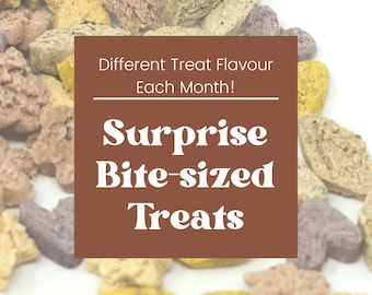 Monthly Bite-sized Treat, Organic Rabbit Treats, Bunny Nibble, Hamster Treat, Rat Food, Healthy Small Animal Supply, Bite-Sized Pet NIBBLE