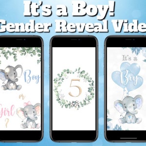 Gender Reveal-video It's a Boy! Videokaart Digitale zwangerschapsaankondigingsvideo voor sociale media | Directe download