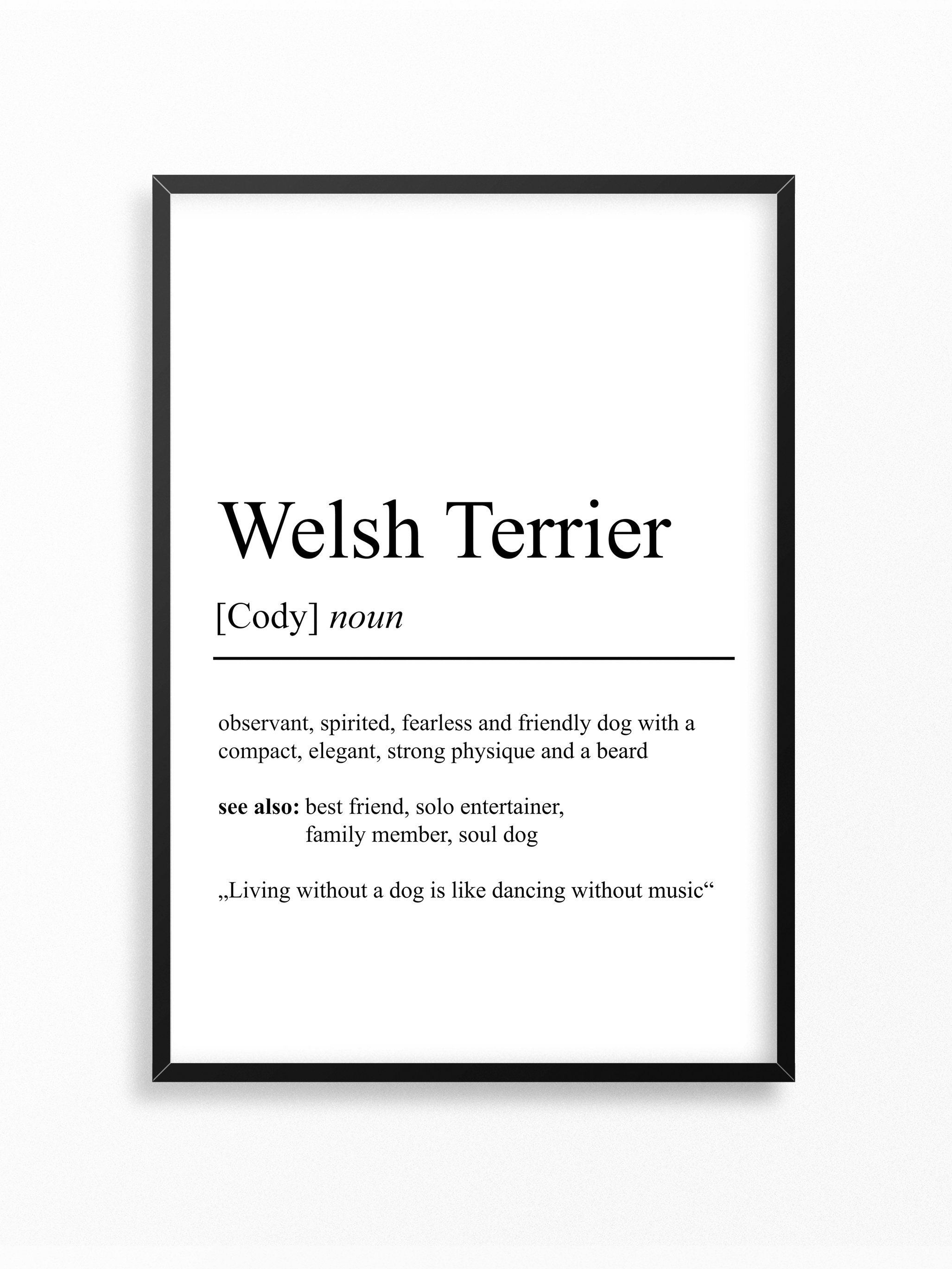 lol - Welsh noun definition  Art Print for Sale by Tirawen