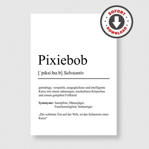 Könnte beinhalten: Weißer Druck mit dem Wort "Pixiebob" in fetter, schwarzer Schrift, mit phonetischer Aussprache und deutscher Definition darunter. Eine kreisförmige "SOFORT DOWNLOAD" Grafik befindet sich in der oberen rechten Ecke.