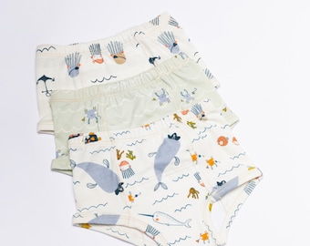 Three Toddler Training Underpants 2T-3T, Toddler Organic Underwear