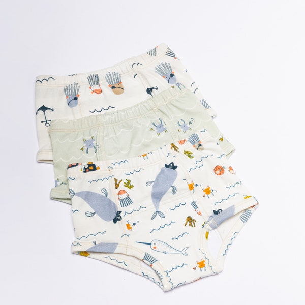 Three Toddler Training Underpants 2T-3T, Toddler Organic Underwear