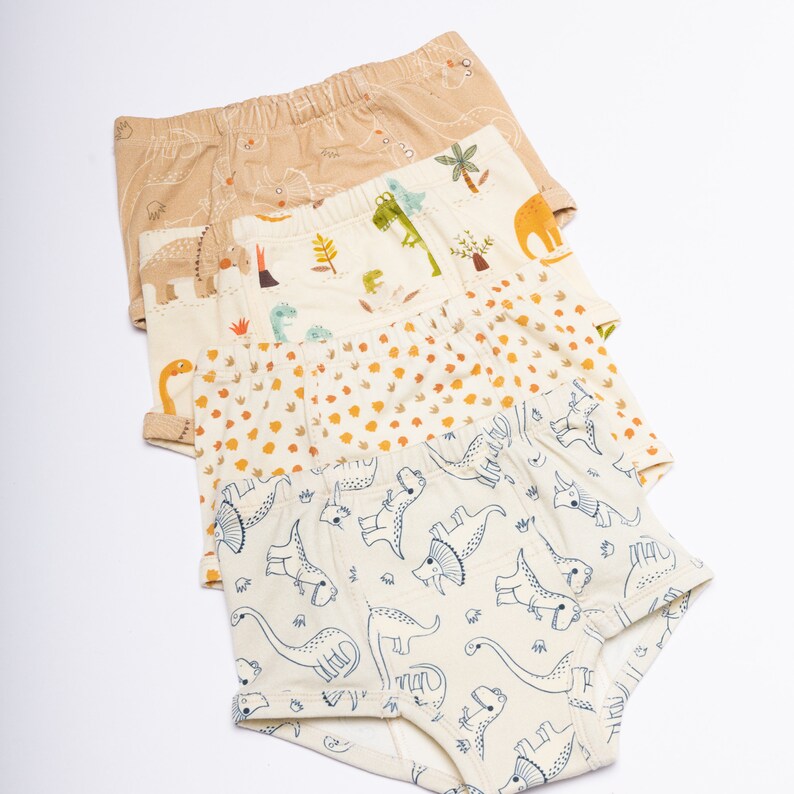 Pack of Dinosaurs Potty Training Underwear Etsy