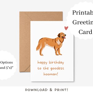 Carte d'anniversaire drôle de chien | Téléchargement numérique | Carte de voeux imprimable pour chien | Carte d'anniversaire amusante pour les amoureux des chiens | Carte d'anniversaire Goodest Hooman