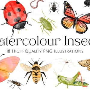 Paquete de iconos de insectos de acuarela / Iconos de insectos dibujados a mano, imágenes prediseñadas minimalistas para álbum de recortes, pegatinas ilustradas de la naturaleza, descarga digital