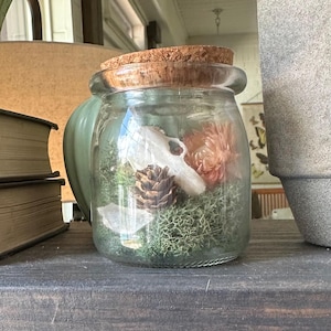 Glass Curio Jar, Cork Lid, with Bone, Dried Flowers, and Moss, Oddity Home Decor