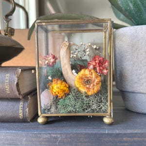 Glass Curio Display with Bone, Dried Flowers, and Moss, Oddities Home Decor