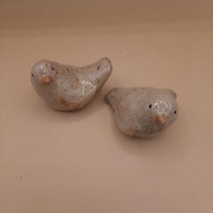 Può includere: Due statuette di uccelli in ceramica. Gli uccelli sono grigio chiaro con dettagli maculati e piccoli becchi arancioni. Hanno occhi neri e sono posizionati su una superficie marrone chiaro. Le statuette sono fatte a mano e hanno un aspetto rustico.