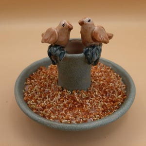 Può includere: Un vaso di ceramica con due piccoli uccelli appollaiati sul bordo. Il vaso è di colore azzurro chiaro e ha una base marrone. Il vaso è pieno di germogli marroni.