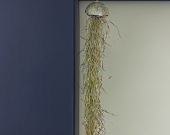 以下が含まれることがあります： クラゲに似た装飾的な吊り下げ式のエアープランツ。上部は金属製の模様入りのドームで、垂れ下がっている巻きひげは乾燥した藁色の植物素材でできています。銀色のクリップから吊り下げられています。