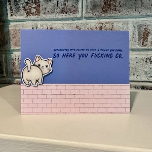 May include: A blue and pink card with a cartoon cat on a brick wall. The card says "Apparently it's polite to send a thank you card, so here you fucking go."