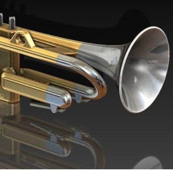 Trumpet Working Instrument Files for 3D print