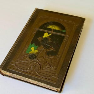 1919 Bibliothek für Amerikanische Geschichte Band 7 von Edward S. Ellis / © 1919 / Marmorierte Kanten / Geprägter Deluxe-Ledereinband / 314 Seiten / Illustriert