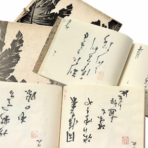 Vintage Handwritten Japanese Calligraphy Books- Sold Separately