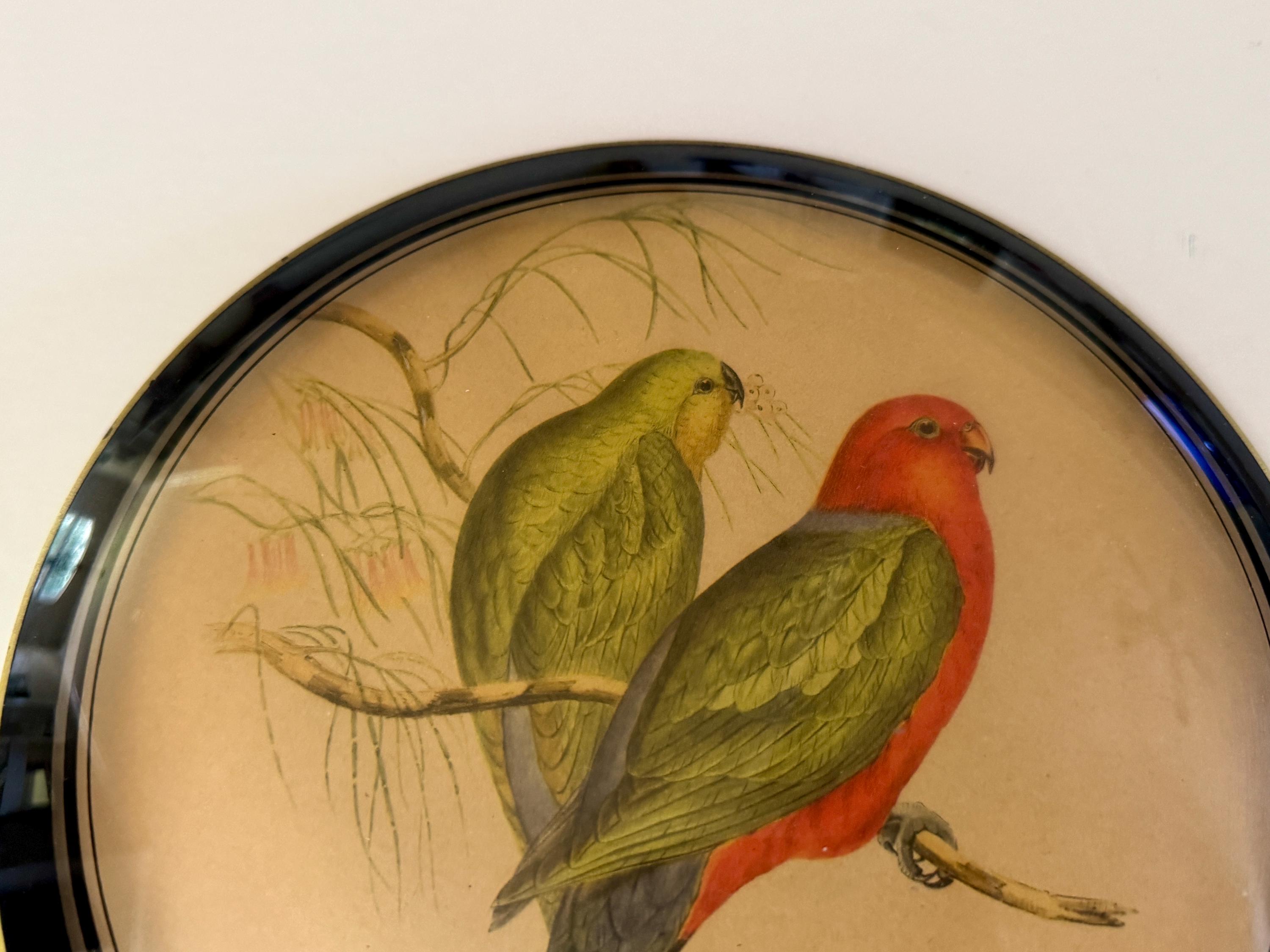 Vintage Convex Glass Framed Bird Art by Bilderback's Inc of Detroit/Mid Century Framed Art/Circa 1950s/Vintage Wall Art/Gold Gilt Edging