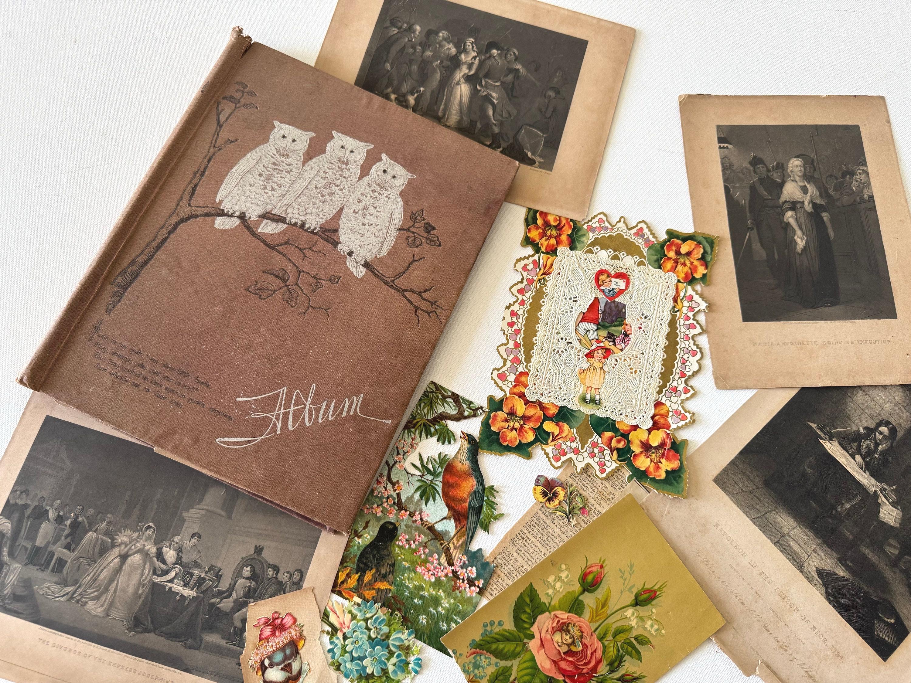 1800s Owls Scrapbook Album & Ephemera/Embossed Pat. March 1876