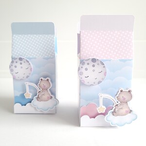 Gender Reveal Favor Box, Gender Reveal Party Decorations, Baby Announcement, Baby Shower