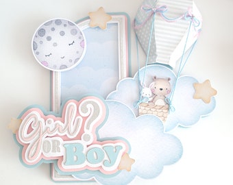 Gender Reveal Cake Topper: Hot Air Balloon Baby Shower Decor