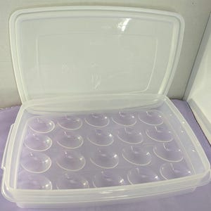 Vtg Rubbermaid Servin' Saver 20 Deviled Egg Keeper-behållare med vitt lock #7