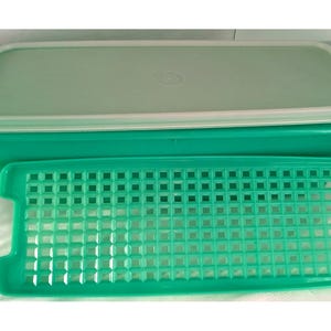 May include: A rectangular, teal-colored food storage container with a matching lid and a removable, perforated tray. The lid is light green with a white rim. The tray has a grid of square holes.