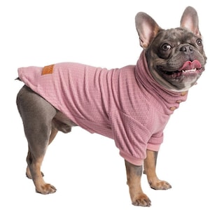 Dog thermal shirt cheap