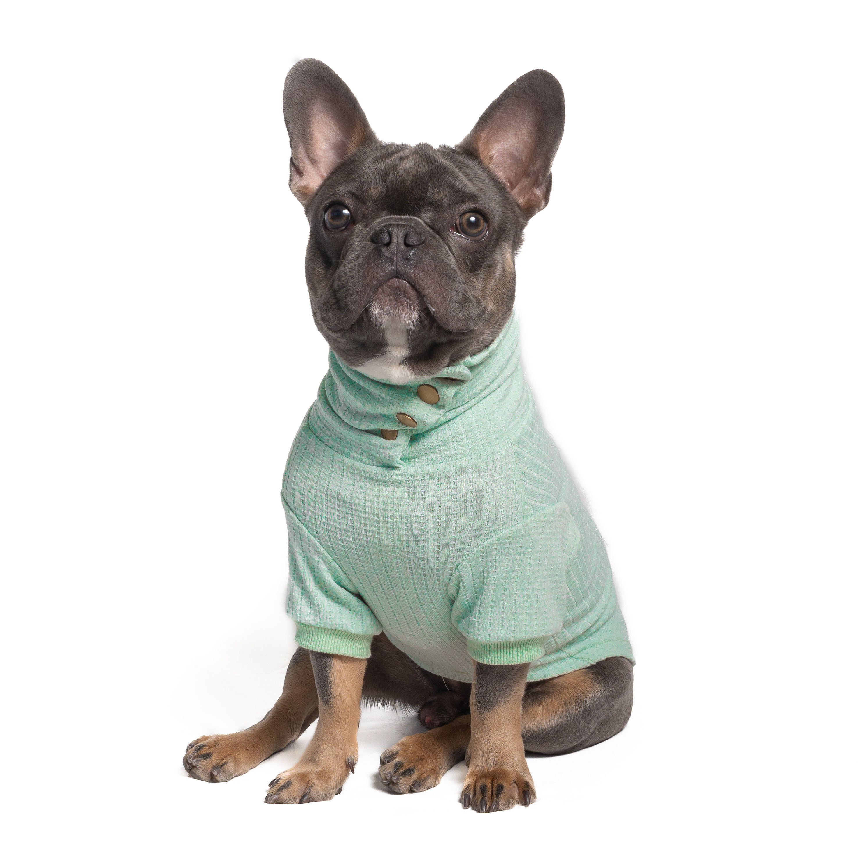 Pullover Für Kleine Hunde – Thermo-Strickpullover, Rollkragen, Rot, Größe S