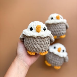 MADE TO ORDER Gehäkelte Adler / Molliger Adler Vogel / Plushie - Gehäkelte Plüschtier - Handgemachtes Geschenk für Kinder - 4