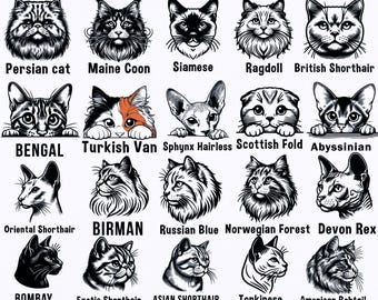 Cat Breeds Head Clipart: 709 SVG Vector Bundle (Printable)