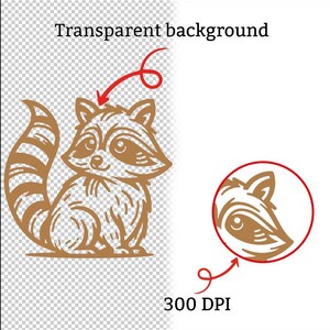May include: A brown raccoon illustration with a striped tail and a detailed face. The image includes the text "Transparent background" and "300 DPI". A smaller raccoon head is in a red circle.